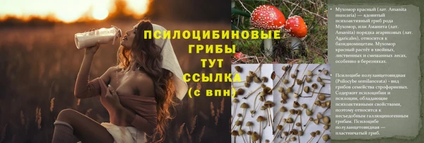 метамфетамин Богородицк