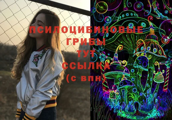прущая мука Богородск