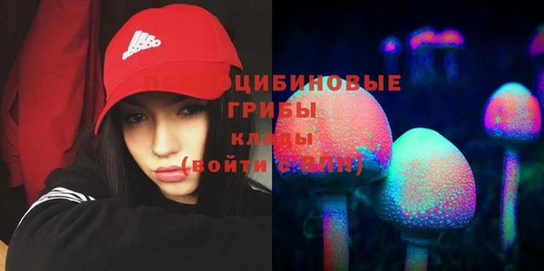 тгк Богданович