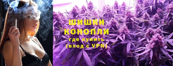 тгк Богданович