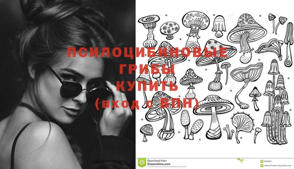 прущая мука Богородск