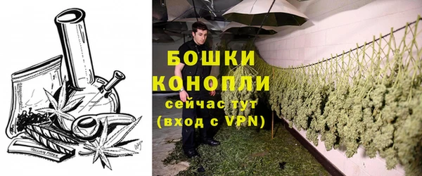 тгк Богданович