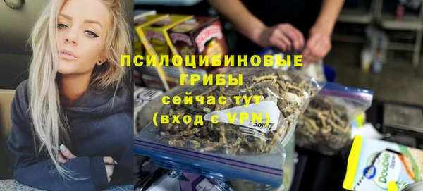 прущая мука Богородск