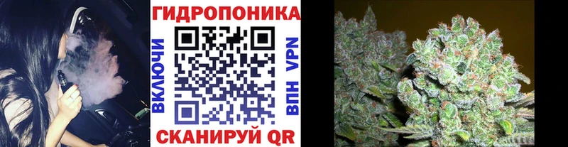 Бошки марихуана планчик  Городовиковск 